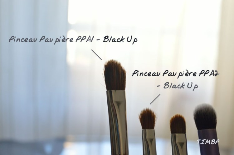 Fav_Pinceaux_pp1ppa2